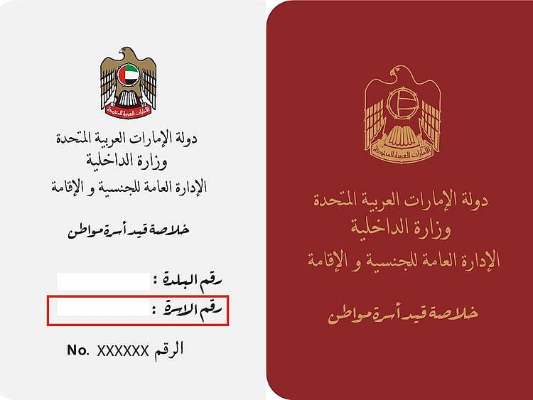 familydata-1715058829810