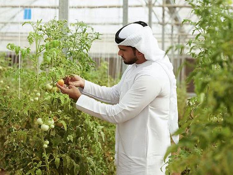 smallfarmers-1715145942442