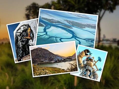 From skyscrapers to majestic mountains: Capturing the UAE's diverse tapestry