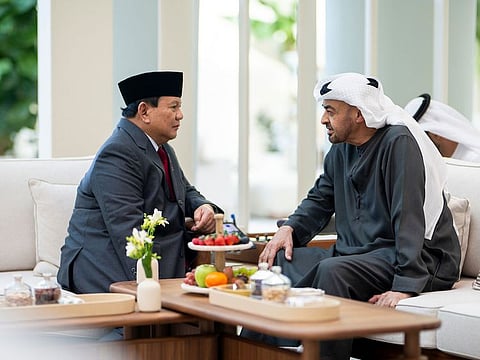UAE President His Highness Sheikh Mohamed bin Zayed Al Nahyan meets with Prabowo Subianto, president-elect and Minister of Defence of Indonesia, at Qasr Al Shati in Abu Dhabi.