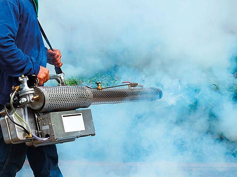 Image of anti-mosquito treatment used for illustrative purpose only