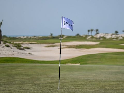 The Abu Dhabi Challenge and UAE Challenge were held for the second successive year in 2024