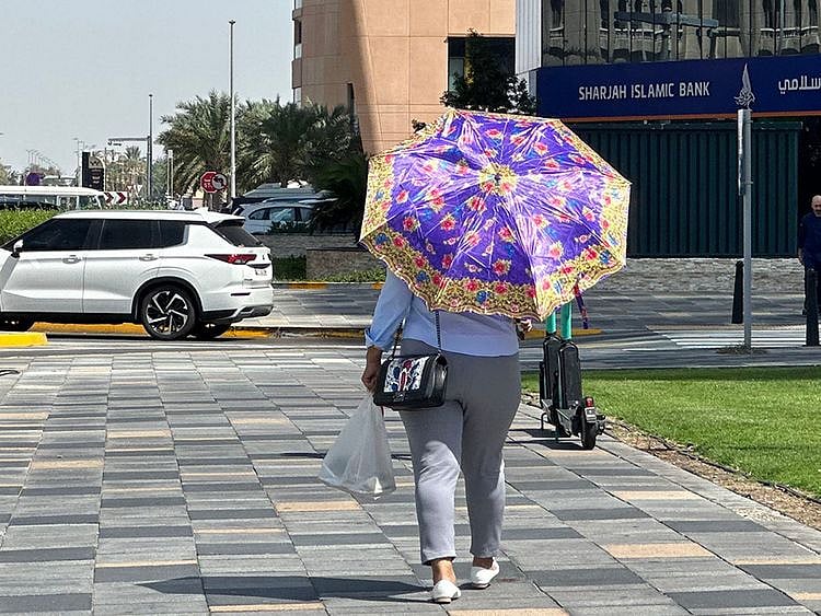 WEATHER / SUMMER / HEAT
