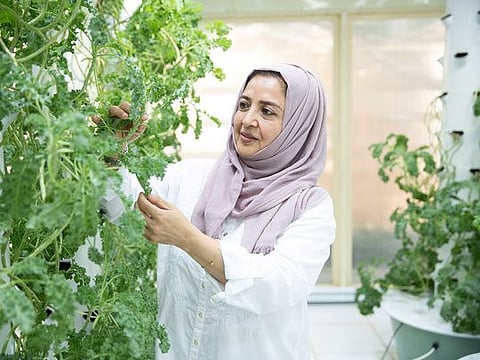 Dr Sultana Osman Yousef Suleiman in her garden, which cultivates multiple fruit and vegetable varieties using aeroponic systems, at her home in District 1, Dubai