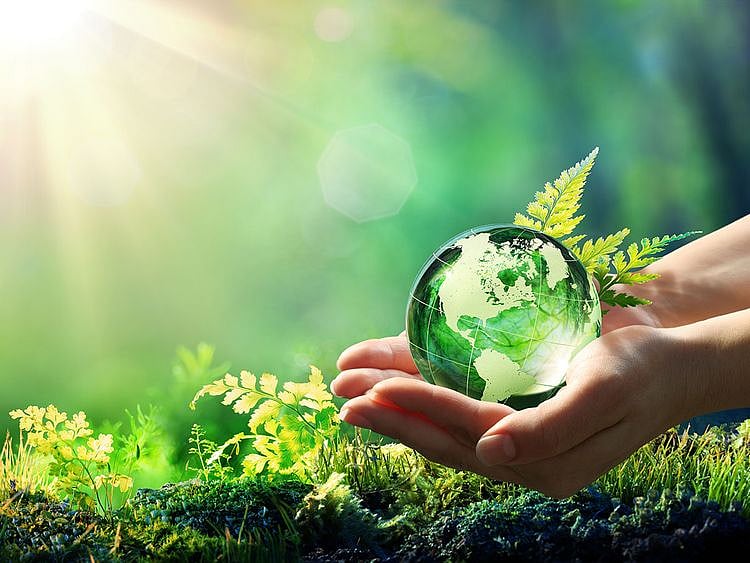 OPN World Environment Day