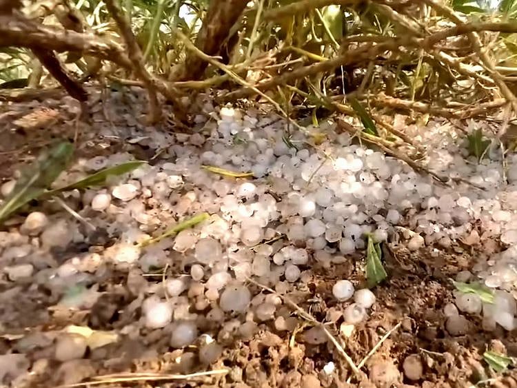 Hail in Mleiha