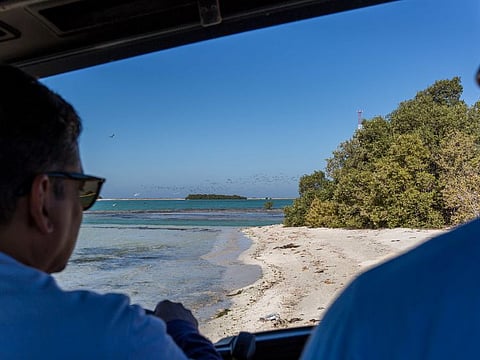 A new study published by the “Nature-based Solutions (NbS) for Climate, Biodiversity and People” project illustrates the vital role that coastal lagoons play in strengthening national climate action plans, biodiversity conservation and resilience of local communities.