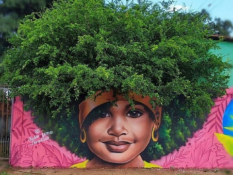 Brazilian artist Fabio Gomes Trinidade uses nature to enhance his artwork.