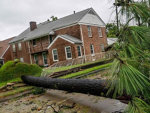 A fallen tree blocks a street during Hurricane Beryl on July 08, 2024 in Houston, Texas. Storm left 85% of city without power, including mayor’s house