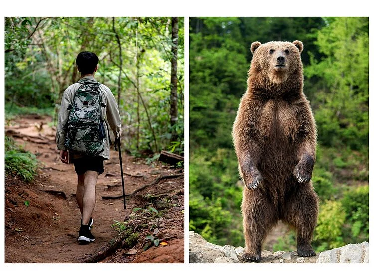 Man vs Bear