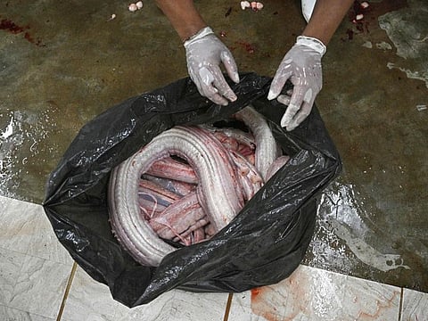 A worker collects python meat after skinning at Closed Cycle Breeding International, a snake breeding farm that provides snake skins for the fashion market in Nam Phi in Thailand's northern Uttaradit province on July 15, 2024.  