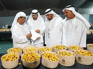 Why Abu Dhabi’s Liwa Date Festival is a must-visit?