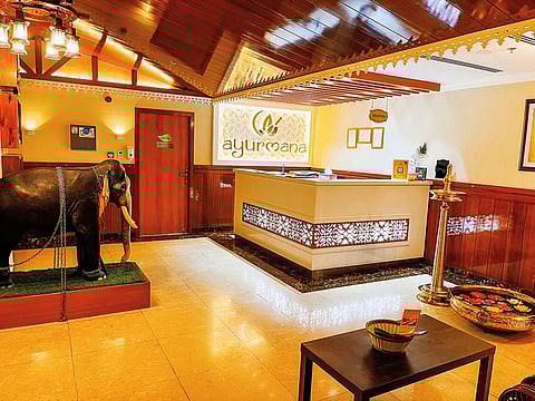 Experience authentic Ayurveda therapies in their purest form at Ayurmana Ayurveda and Panchakarma Centre