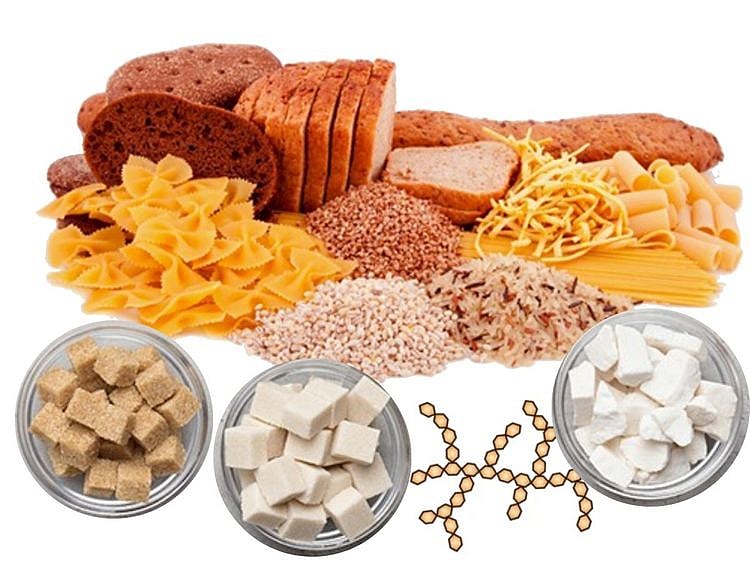 Carbohydrates