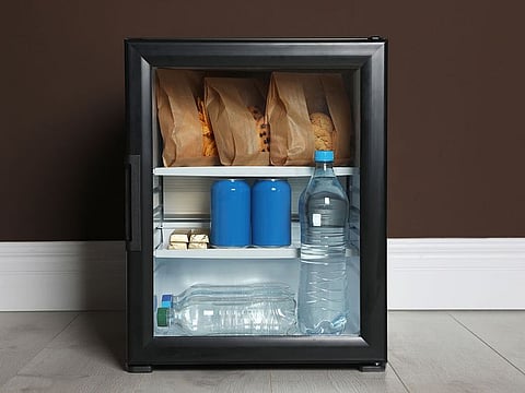 A mini fridge can keep your medications, food and cosmetics safe, while larger versions can act as second fridges.