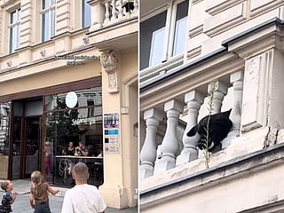 Pet dog plays fetch with strangers from the balcony