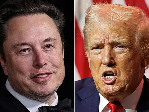 Elon Musk and Donald Trump.  