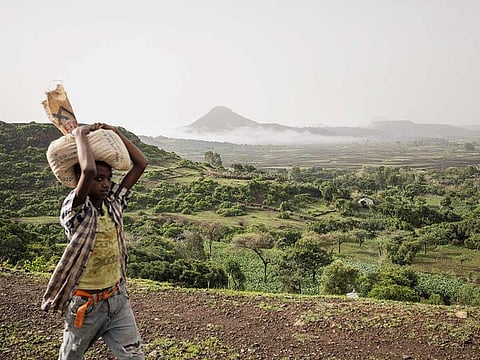 A kid balances a sack of grains on his head on the road between Shire and Adwa, Tigray region. Children in West and Central Africa are the most exposed to extreme heat, with 123 million children - 39 per cent of the kids in the region - facing a third of each year with 95-degree days or higher.