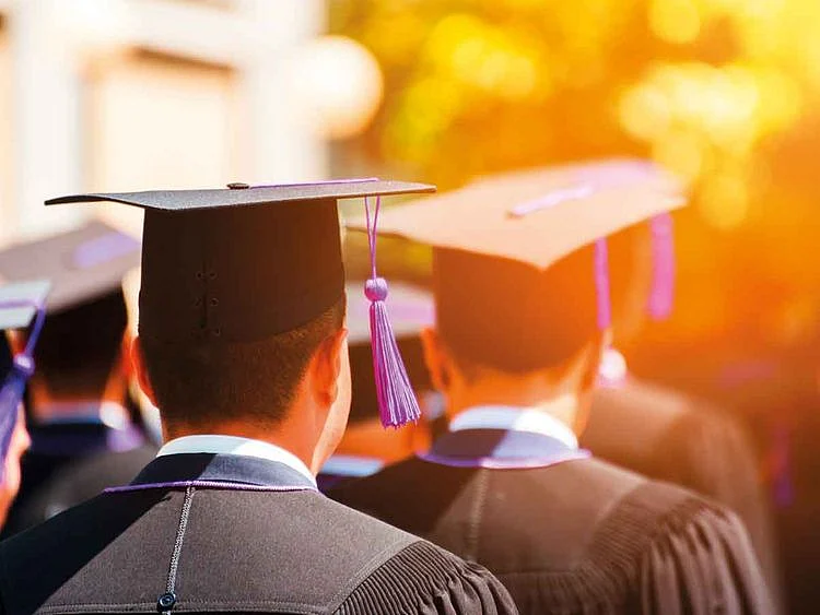 Universities lead 