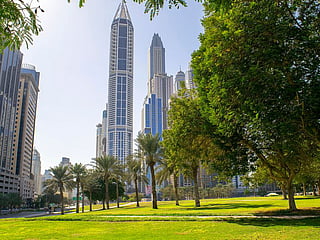  Why spring still feels like winter in the UAE