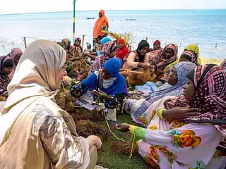 Jawaher Al Qasimi and the First Lady of Zanzibar discuss opportunities to boost humanitarian partnerships