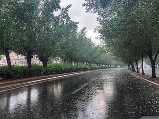 Large parts of Saudi Arabia will experience rain this week.