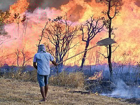 A resident near Brasilia National Park tries to contain the forest fire that is raging in the park so that it doesn't reach their homes in Brasilia, Brazil.