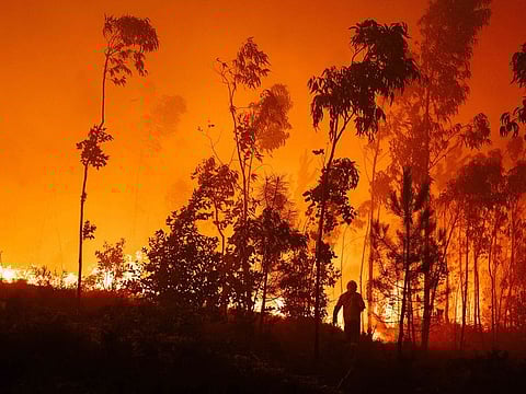 Fire fighters tackle a wildfire in Agueda, in the Aveiro region of Portugal, on Tuesday, Sept. 17, 2024.  