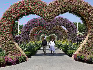 Watch: Dubai Miracle Garden opens its 13th season with a bouquet of new attractions
