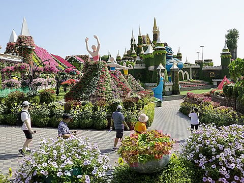 Visitors at Dubai Miracle Garden, the world’s largest natural flower garden which opened for its 13th season. on Tuesday 1st October. 