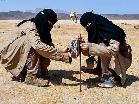 Women inspectors conduct work at the Prince Mohammed bin Salman Royal Reserve. 