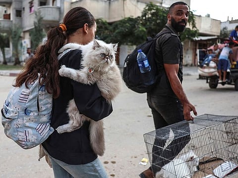 Displaced Palestinians who fled northern Gaza carry their pets as they arrive in Nuseirat in the central Gaza Strip on Octber 5, 2024, amid the ongoing war between Israel and the militant group Hamas.