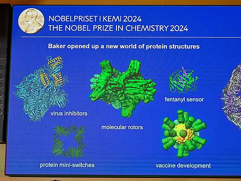 A screen displays details from the work of the winners of the 2024 Nobel Prize in Chemistry during the announcement by the Royal Swedish Academy of Sciences in Stockholm, Sweden.
