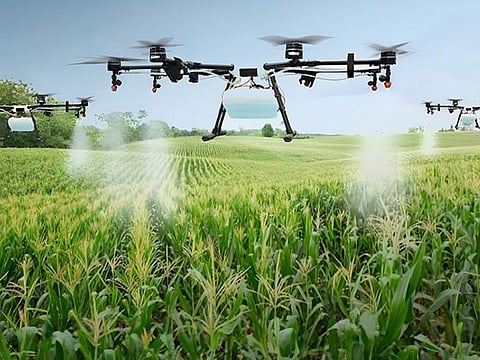 The ‘Plant the Emirates’ programme serves as an incubator for ideas, efforts and innovations with a focus on food security.  