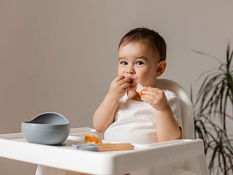 Choosing the right high chair can be a game-changer for both you and your toddler. 