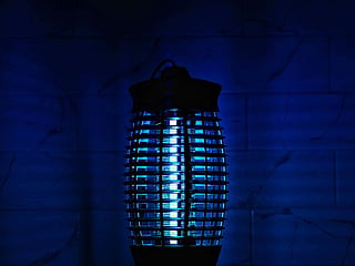 From electric bug zappers to eco-friendly, solar-powered traps, these solutions will keep your outdoor space mosquito-free. 