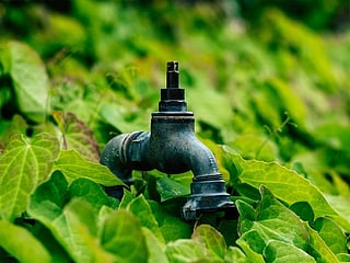 Water crisis threatening world food production, economic stability by 2050