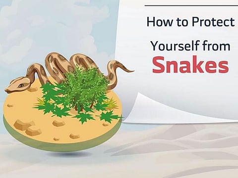 The Municipality has a dedicated team for handling snake sightings and other wildlife concerns