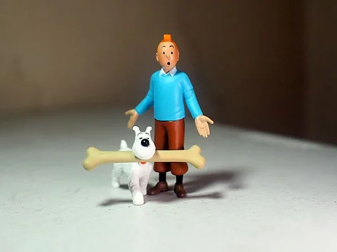 A collection of rare Tintin comic albums is up for auction in Paris.