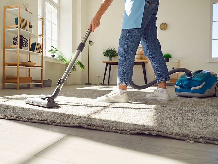 vacuum carpet