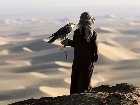 The Traditional Hunting Season will run from November 1, 2024, to February 15, 2025, at the Al Marzoom Hunting Reserve