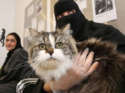 Demand for pets is on the rise in Saudi Arabia.  