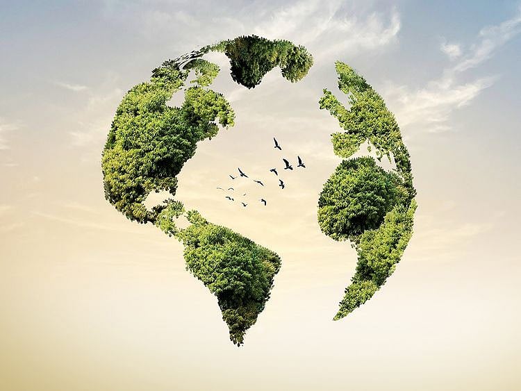 opn Climate change 