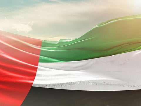 Ambassadors from various nations celebrate Eid Al Etihad 