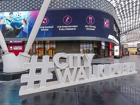 Canadian University Dubai launches Master of Public Health program