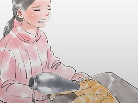 A young Chinese girl stepped in to help a kitten on the brink of death, using a hair dryer to save its life.