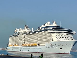 Cruise ship passengers carried more than 1.2 million bags to Dubai 