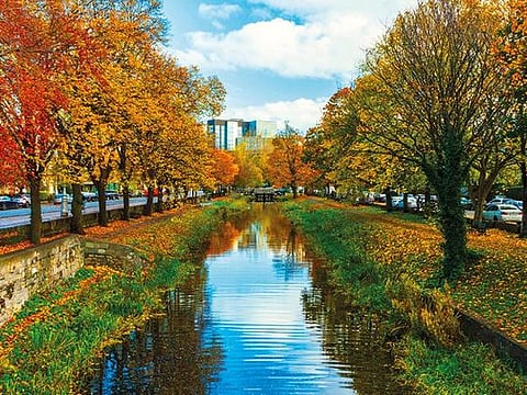 View of Grand Canal Dublin in autumn showing towpaths along canal banks, trees and grass 