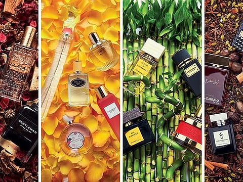 Aiza Castillo-Domingo