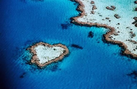 Heart-shaped reef, near Whitsunday Islands,  Queensland, Australia. 